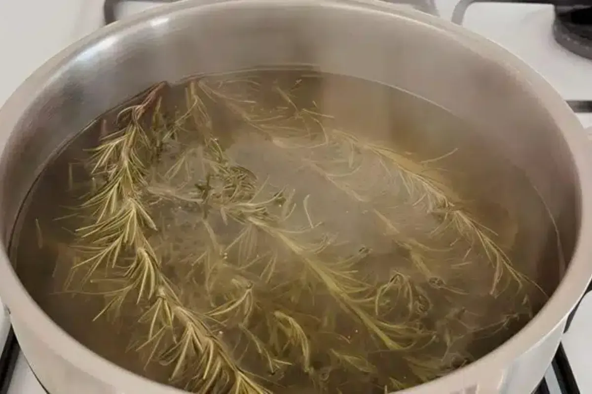 Ao Cozinhar 5 Ramos de Alecrim Voce Resolvera um Problema De