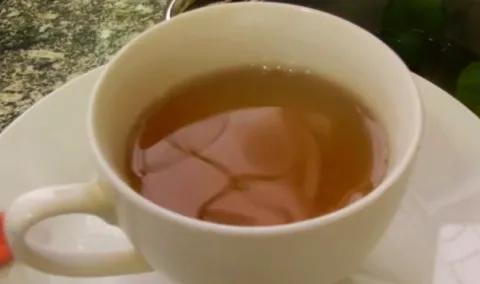 CHA DA FOLHA DA GRAVIOLA