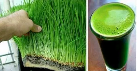 O mais poderoso dos sucos