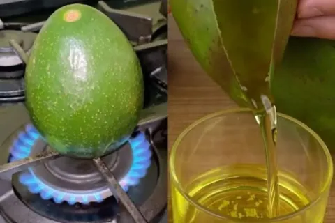 O Segredo Para Extrair Oleo de Abacate de Forma Simples e Fa