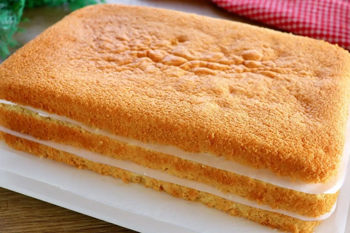 Pao de lo profissional que fica grandao e muito fofinho com