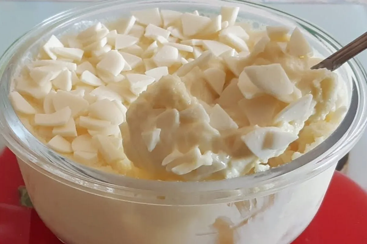 Sobremesa cremosa de leite em po que e facil de fazer e fica