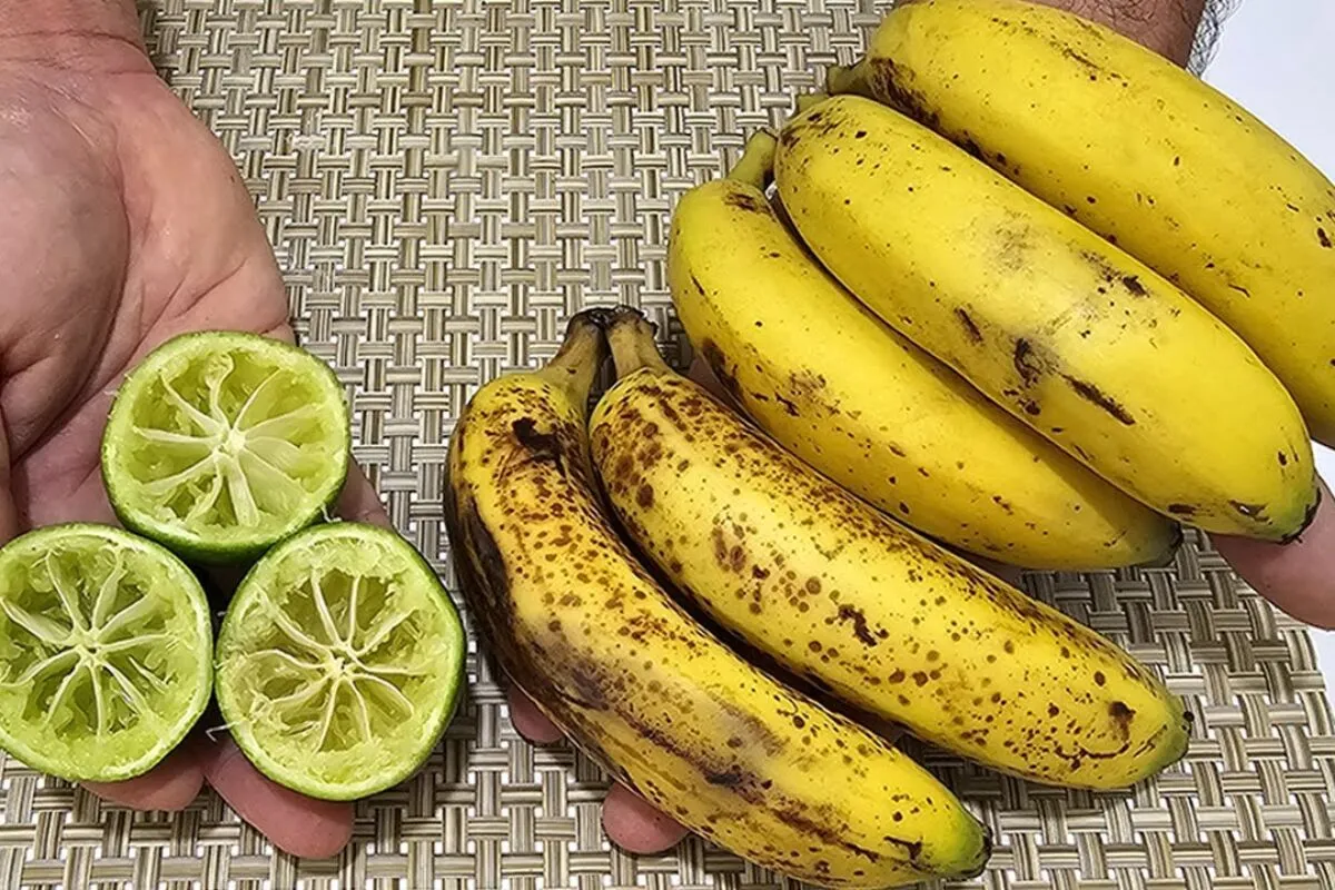 Sobremesa facil um doce geladinho refrescante e saudavel que