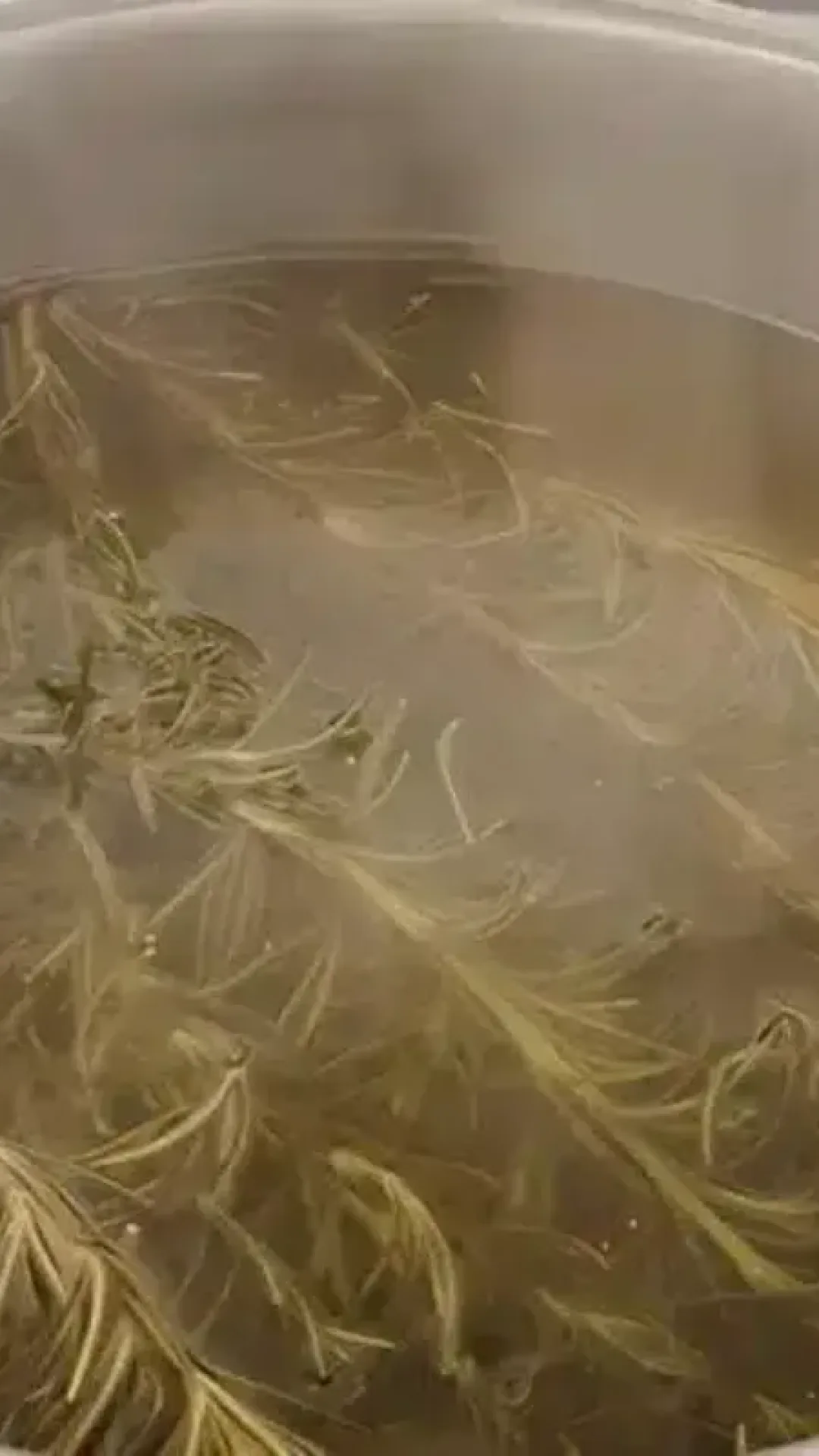 Ao Cozinhar 5 Ramos de Alecrim Voce Resolvera um Problema Desagradavel