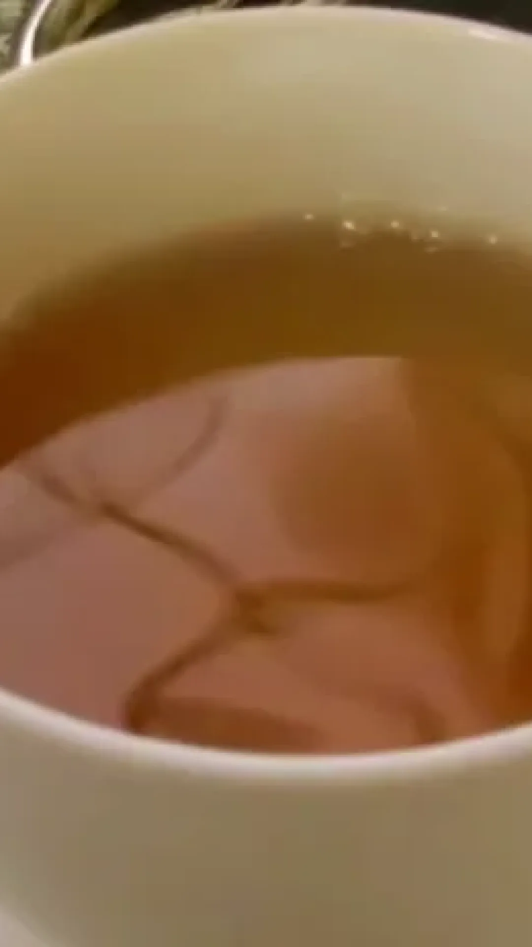 CHA DA FOLHA DA GRAVIOLA