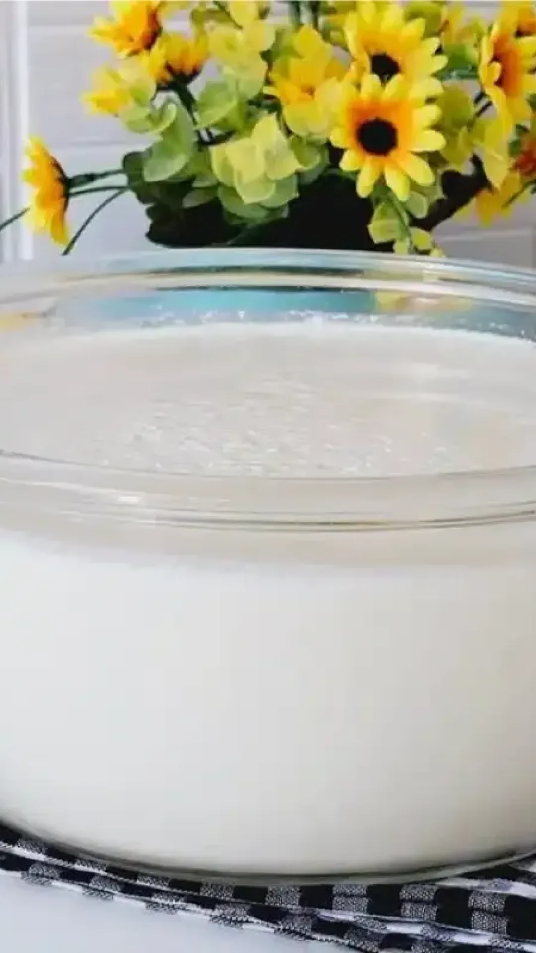 Iogurte Caseiro Super Cremoso