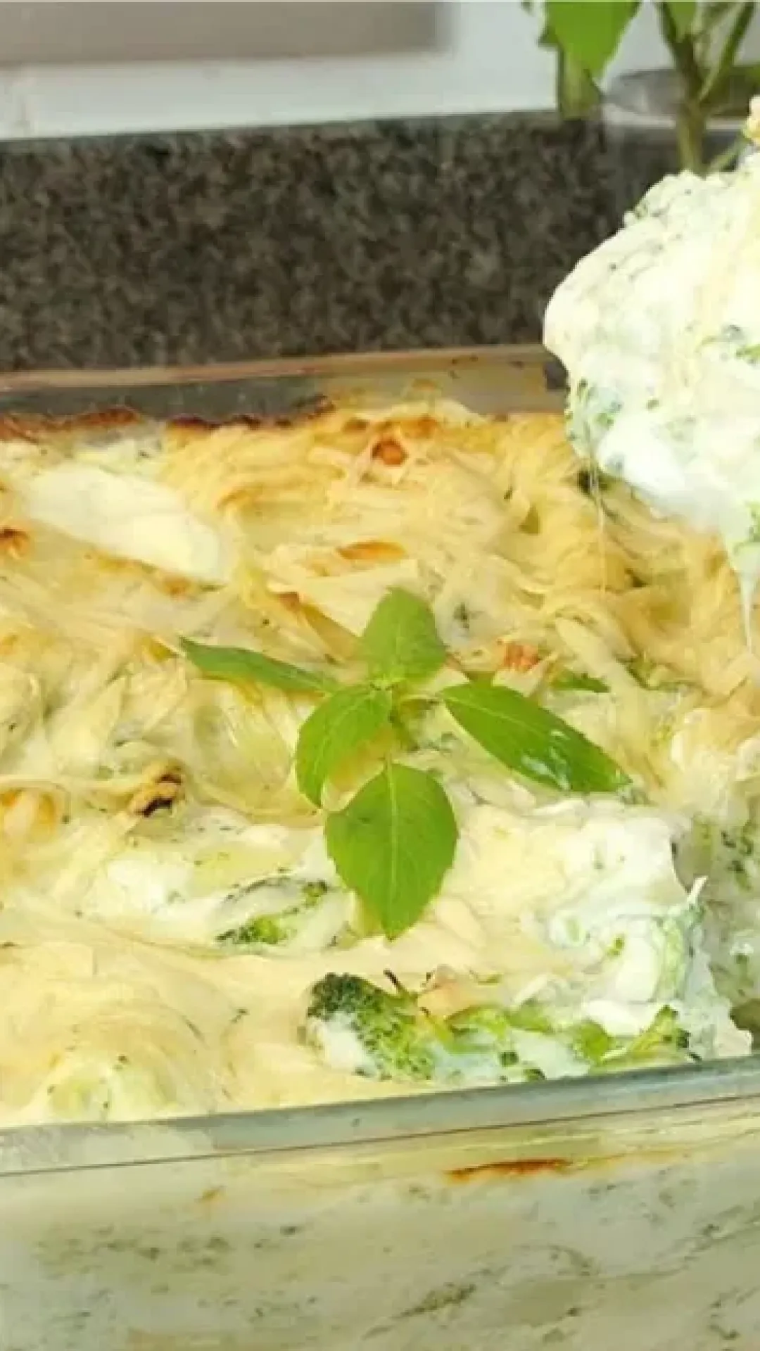 Lasanha de brocolis leve e saborosa