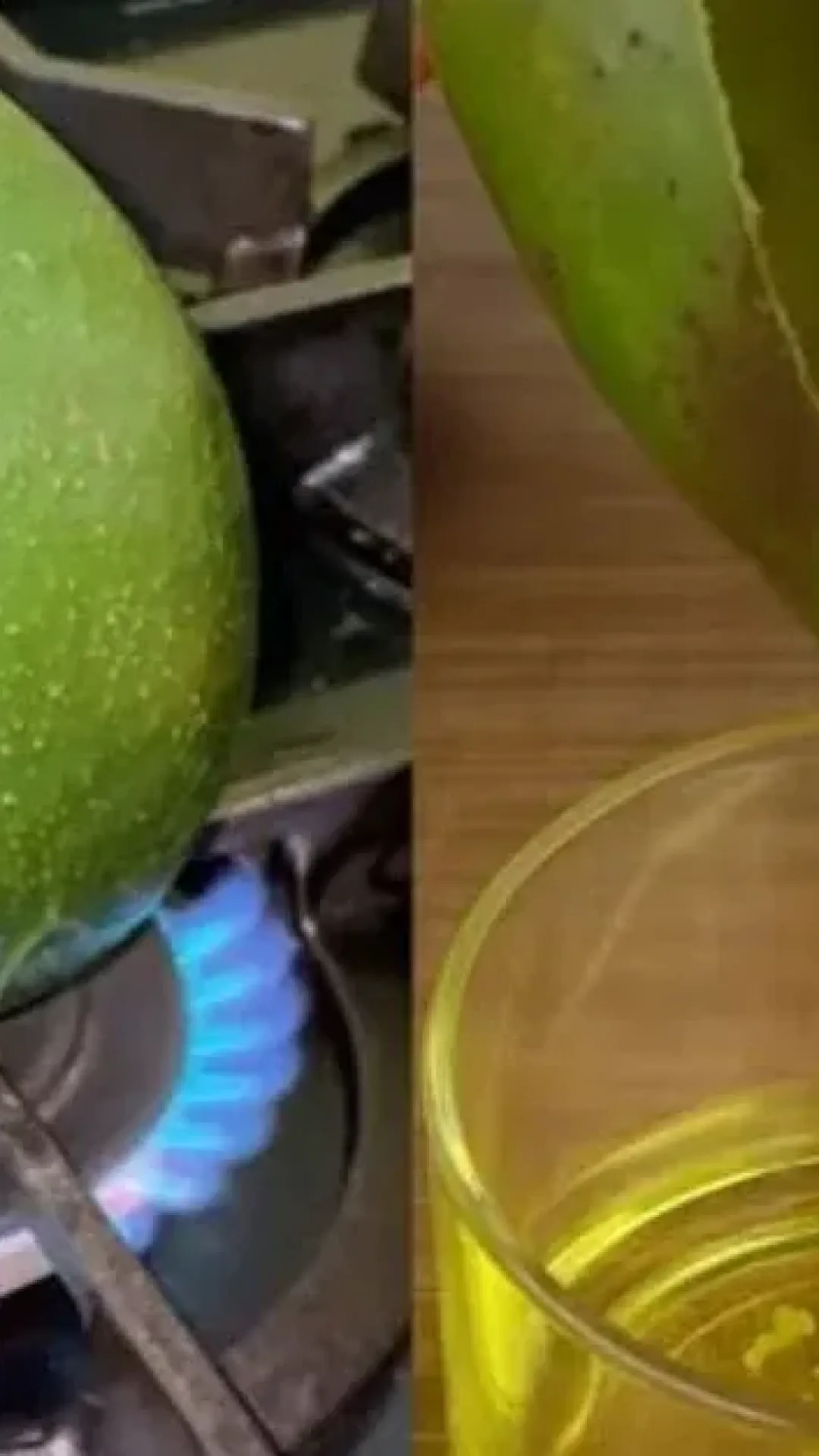 O Segredo Para Extrair Oleo de Abacate de Forma Simples e Facil