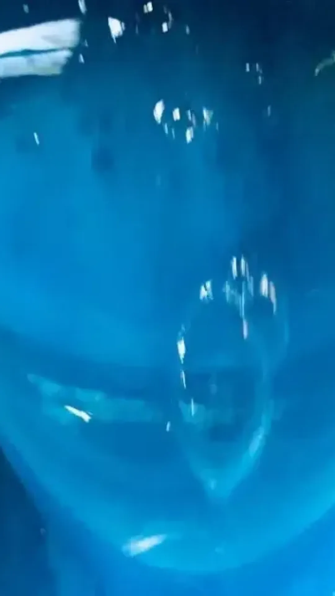 Sabao Liquido Caseiro Concentrado