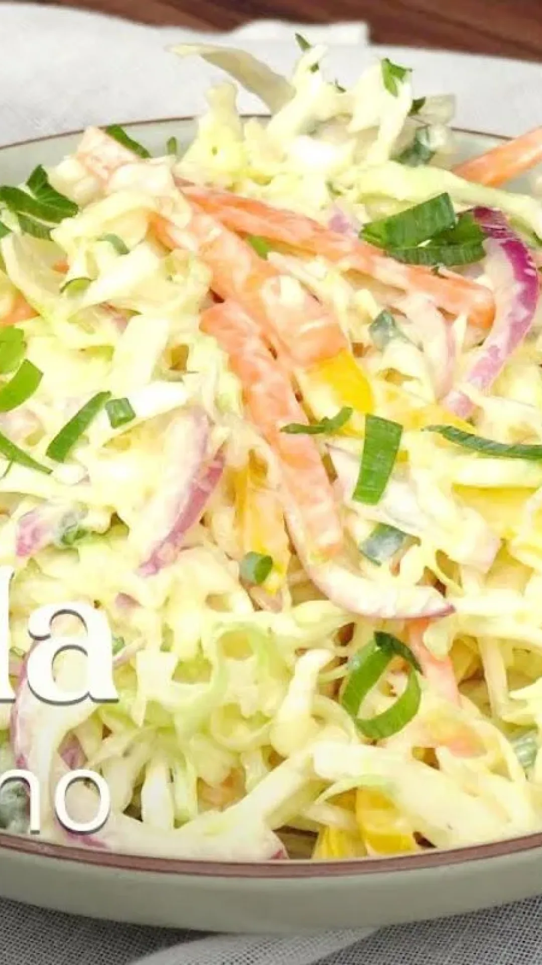 Salada de repolho cremosa um acompanhamento delicioso e muito refrescante